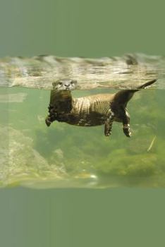 Otters: JOURNAL LOG DOODLE SKETCH DRAWING NOTE BOOK NO LINES UNRULED 6" x 9" 186 PAGES