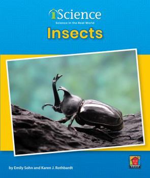 Paperback Insects Book