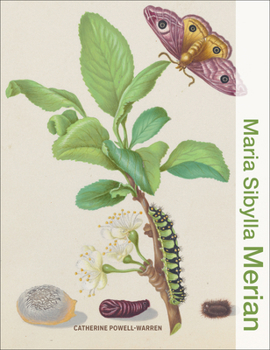 Maria Sibylla Merian (Illuminating Women Artists)