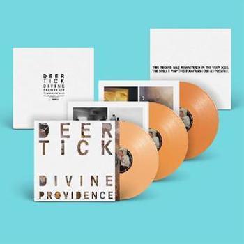 Vinyl Divine Providence 11 Th Annv Book