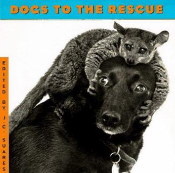 Hardcover Dogs to the Rescue Book