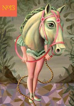 Paperback 3x3 Illustration Annual No. 13 Book