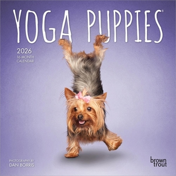 Mini-Disc Yoga Puppies Official 2026 7 X 14 Inch (Hanging) Monthly Mini Wall Calendar Book