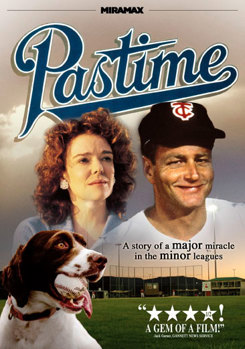 DVD Pastime Book