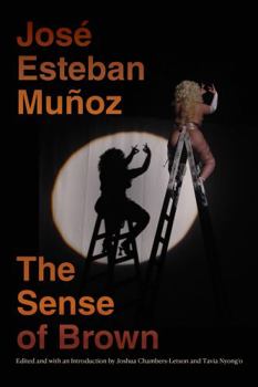 The Sense of Brown - Book  of the Perverse Modernities
