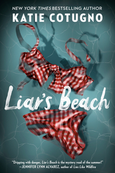 Hardcover Liar's Beach Book