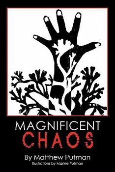 Paperback Magnificent Chaos Book