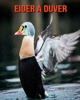 Eider à Duver: Recueil pour Enfants de Belles Images & d’Informations Intéressantes Concernant les Eider à Duver (French Edition)