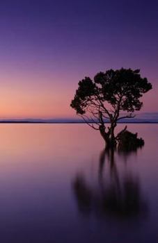 Paperback The Hacker-Proof Internet Address Password Book - Sunset Lake: Alphabetical Website Username & Password Organizer Logbook Notebook Book