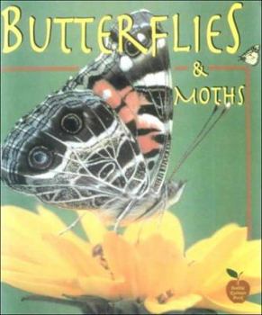 School & Library Binding Butterflies and Moths Book