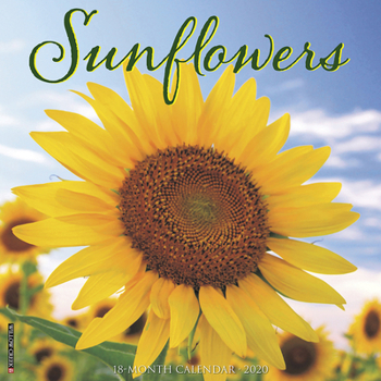 Calendar Sunflowers 2020 Wall Calendar Book