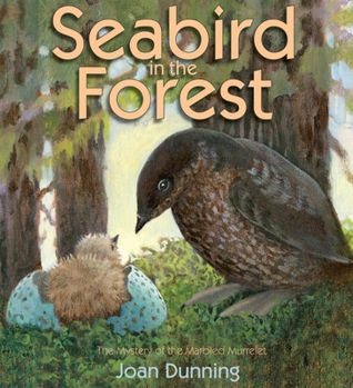 Hardcover Seabird in the Forest: The Mystery of the Marbled Murrelet Book