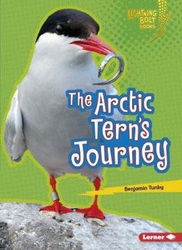 The Arctic Tern's Journey - Book  of the Amazing Migrators