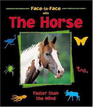 Hardcover The Horse: Faster Than the Wind Book