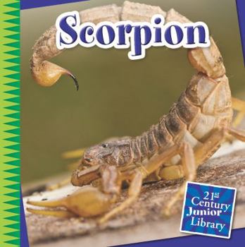 Paperback Scorpion Book