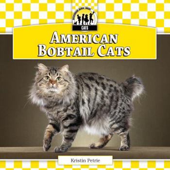 Library Binding American Bobtail Cats Book