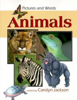 Paperback Animals: Pictures and Words (Watts Reference) Book