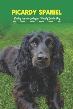 Paperback Picardy Spaniel: Raising Tips and Caring for Picardy Spaniel Dog Book