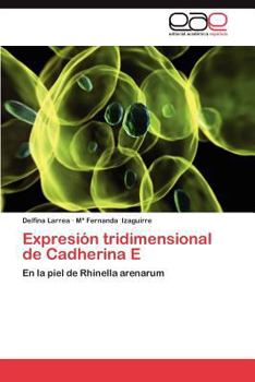 Paperback Expresion Tridimensional de Cadherina E [Spanish] Book