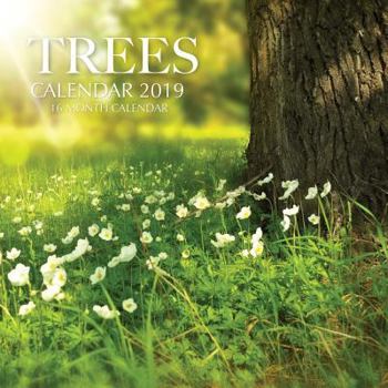 Paperback Trees Calendar 2019: 16 Month Calendar Book