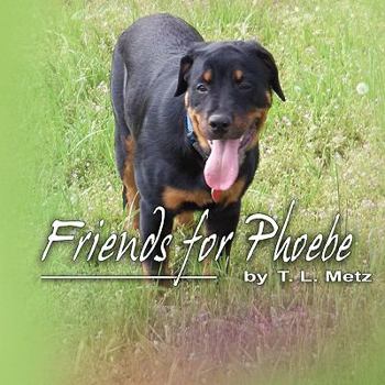 Paperback Friends for Phoebe Book