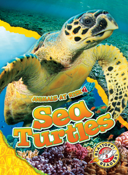 Library Binding Sea Turtles Book