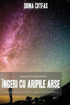 Paperback Ingeri Cu Aripi Arse: Mesaje de la Dumnezeu [Romanian] Book