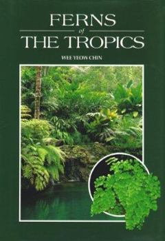 Hardcover Ferns of the Tropics Book