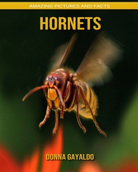 Hornets: Amazing Pictures and Facts