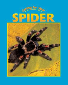 Hardcover Caring for Your Spider Book