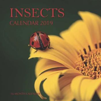 Paperback Insects Calendar 2019: 16 Month Calendar Book