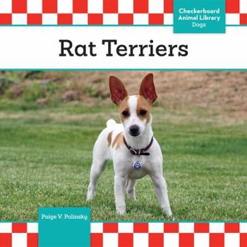 Library Binding Rat Terriers Book