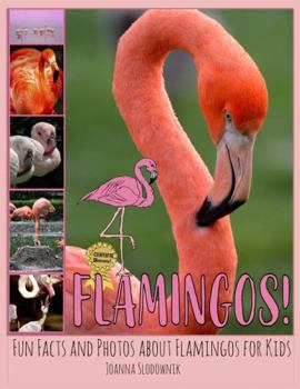 Flamingos! Fun Facts and Photos about Flamingos for Kids (Bird Books for Kids)