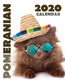 Paperback Pomeranian 2020 Calendar Book