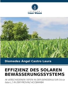 Paperback Effizienz Des Solaren Bewässerungssystems [German] Book