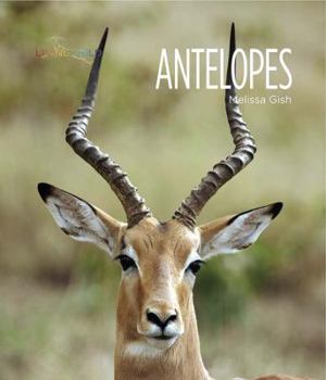 Paperback Antelopes Book