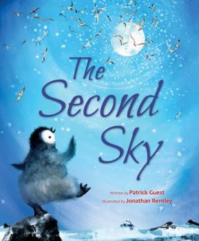 Hardcover The Second Sky Book