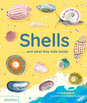 Board book Shells... and What They Hide Inside: A Lift-The-Flap Adventure Book