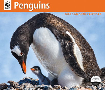 Misc. WWF Penguins: 12x14 Deluxe Wall Book