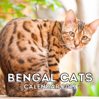 Paperback Bengal Cats: 2021 Wall Calendar, Cute Gift Idea For Bengal Lovers Or Owners Men And Women Book