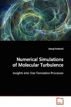 Paperback Numerical Simulations of Molecular Turbulence Book
