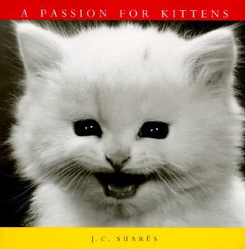 Hardcover A Passion for Kittens Book