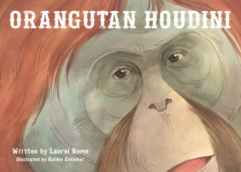 Hardcover Orangutan Houdini Book