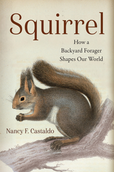 Paperback Squirrel: How a Backyard Forager Shapes Our World Book