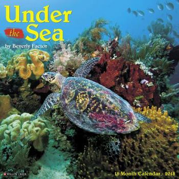 Calendar Under the Sea 2018 Calendar Book