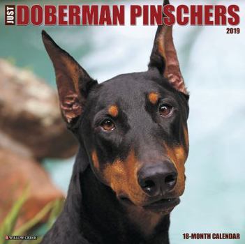 Calendar Just Dobermans 2019 Wall Calendar (Dog Breed Calendar) Book