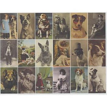 Hardcover Postcard Dogs. [Compiled By] Libby Hall Book