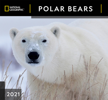 Calendar Cal 2021- National Geographic Polar Bears Wall Book