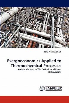 Paperback Exergoeconomics Applied to Thermochemical Processes Book