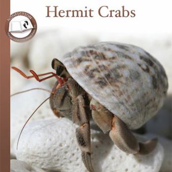 Unknown Binding Hermit Crabs Book